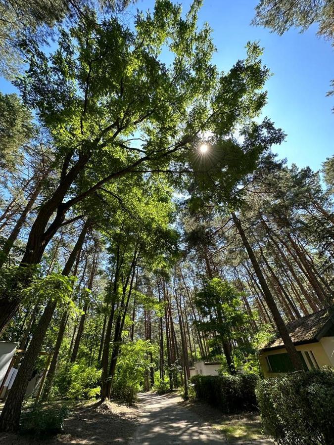 Summer House Lubniewice Εξωτερικό φωτογραφία