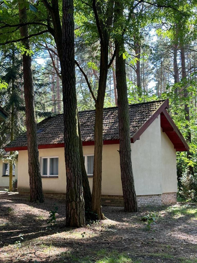 Summer House Lubniewice Εξωτερικό φωτογραφία